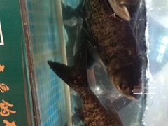 -老傅家湘潭水煮活鱼店(众一国际店)