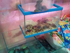 -双季花艺园艺市场(浦东店)