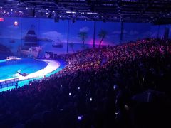 -华夏文旅海洋公园