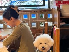 -霸王虾·麻辣小龙虾(清水河公园店)