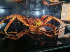 -同济大学四平路校区深海探索馆