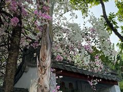 -深圳国际园林花卉博览园