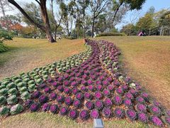 -云溪植物园