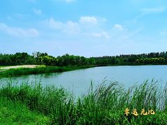 -东郊湿地公园