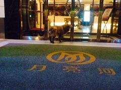 -月亮河温泉度假酒店