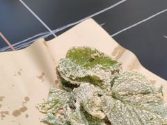 -周姑娘不等味·牛羊肉火锅·螃蟹罗氏虾·烤鱼烤串(高邮店)