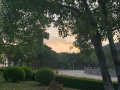 -顺峰山公园