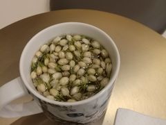 -飞行喵MR PILOT|猫舍·猫咖(静安大融城店)