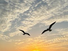 -江畔餐厅·厦门海港英迪格酒店(中山路店)