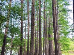 -东湖落雁景区