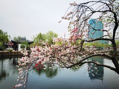 -无锡蠡湖国家湿地公园-蠡园