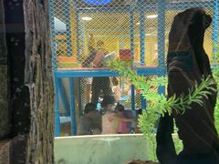 -顺德南宏海立方海洋公园