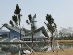 -盐城丹顶鹤湿地生态旅游区