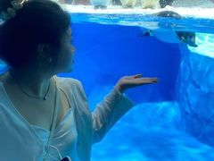 -海合安成都极地海洋公园