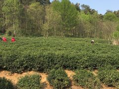 -南京金牛湖风景区