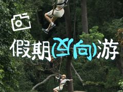 -芦仙山景区-飞越丛林探险乐园