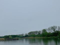 -溱湖国家湿地公园