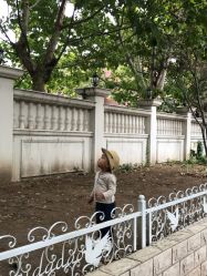 -艾米丽儿童摄影