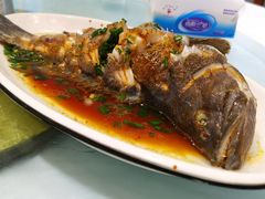 -金海湾海鲜排档(朱家尖店)