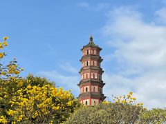 -广州莲花山旅游区