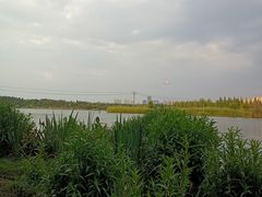 -呈贡滇池生态湿地公园