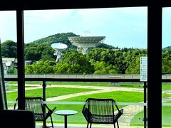 -上海佘山世茂艾美酒店