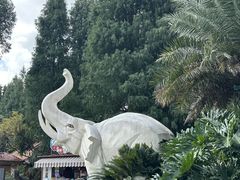 -云南民族村