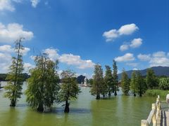 -星湖旅游景区七星岩