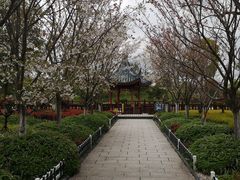 -上海望仙安息园