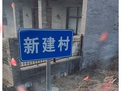 -新建村梅花