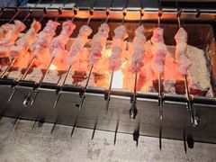 呼伦贝尔羊肉串-很久以前羊肉串(簋街店)