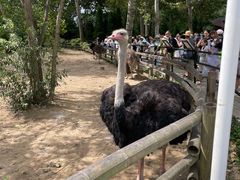 -大连森林动物园