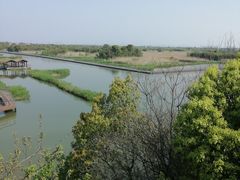 -下渚湖国家湿地公园科普馆