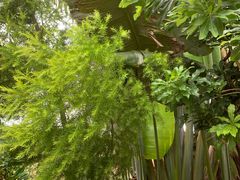 -田园寨农园观光园