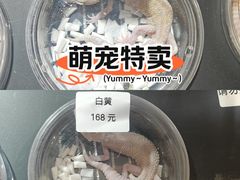 -酷以爬仙阁实体爬宠店·守宫·蜥蜴·专业繁育