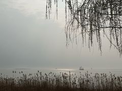 -苏州湾体育公园