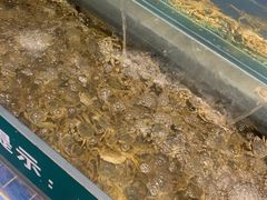 水产区-圣罗巴海鲜自助(黑金店)