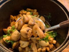 啫啫白蘑菇-铁公鸡·四川料理(天环广场店)