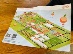 -前小桔亲子创意农场·草莓采摘·露营烧烤