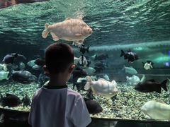 -成都浩海立方海洋公园