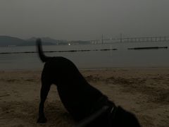 -盐洲岛