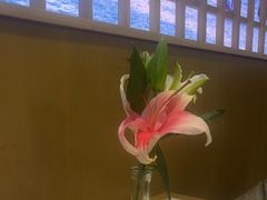 -船歌·鱼水饺青岛菜(石老人店)