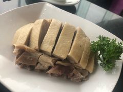 -云中小雅