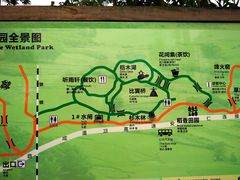 -桤木河湿地公园