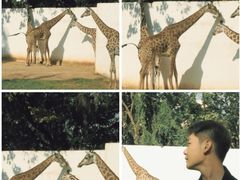 -昆明动物园