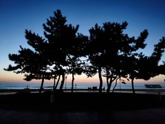 -日照灯塔风景区