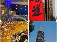 -青果巷历史文化街区