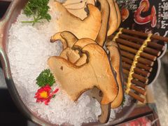 -季季山·云南野生菌火锅(上海首店)