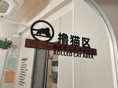 -唐小姐の私宠·宠物洗护美容·撸猫馆·购宠(周浦万达旗舰店)