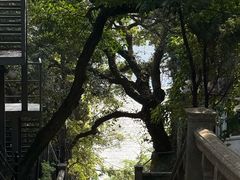 -青龙山公园